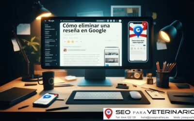 Cómo eliminar una reseña en Google – Guía 2024