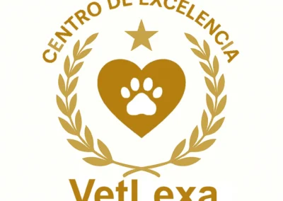 Centro de excelencia de Gestion de riesgos para hospitales veterinarios